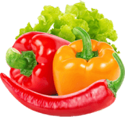 Adipisci placeat earum