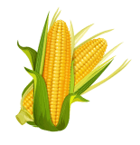 Numquam possimus nisi