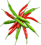 Corrupti molestiae rerum